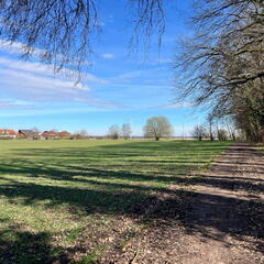 24-03-02 12-46-03 8889